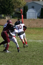 Enlarge photo 270