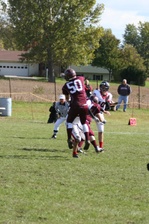 Enlarge photo 338