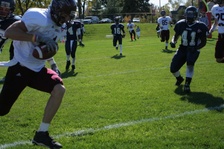 Enlarge photo 45