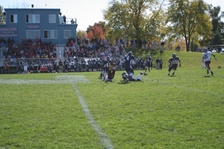Enlarge photo 135