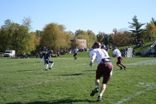 Enlarge photo 209
