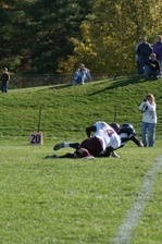 Enlarge photo 257