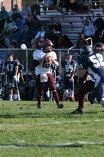 Enlarge photo 265