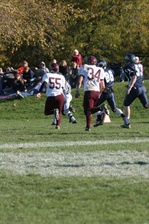 Enlarge photo 314