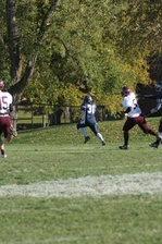 Enlarge photo 315