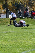 Enlarge photo 149