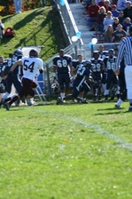 Enlarge photo 153
