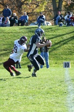 Enlarge photo 236