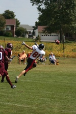 Enlarge photo 75