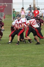 Enlarge photo 184