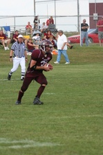 Enlarge photo 241