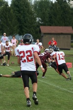 Enlarge photo 246