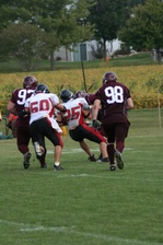 Enlarge photo 259