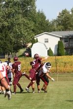 Enlarge photo 281