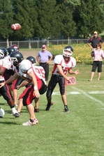 Enlarge photo 313
