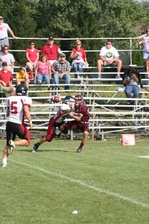 Enlarge photo 325