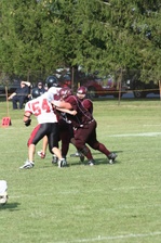 Enlarge photo 336
