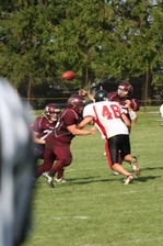 Enlarge photo 338