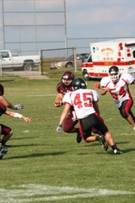 Enlarge photo 347