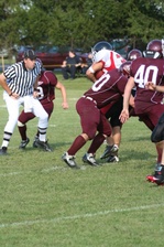 Enlarge photo 383