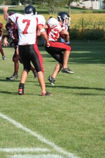 Enlarge photo 461