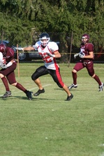 Enlarge photo 476