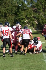 Enlarge photo 483
