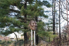 Enlarge photo 2