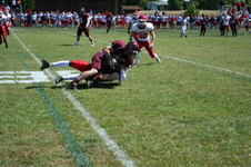 Enlarge photo 473