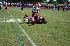 Enlarge photo 474