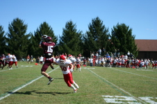 Enlarge photo 497