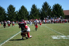 Enlarge photo 498