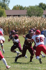 Enlarge photo 47