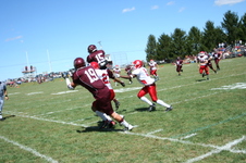 Enlarge photo 513