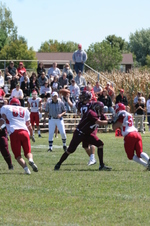 Enlarge photo 54