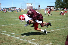 Enlarge photo 523