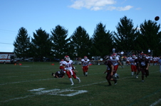 Enlarge photo 525