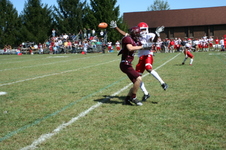 Enlarge photo 529