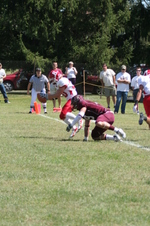 Enlarge photo 75