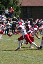 Enlarge photo 82