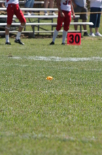 Enlarge photo 89