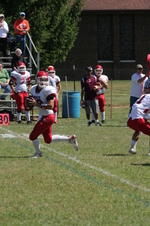 Enlarge photo 92