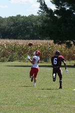 Enlarge photo 94