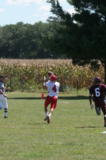Enlarge photo 95
