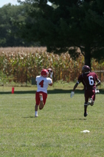Enlarge photo 96