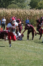 Enlarge photo 103