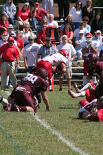 Enlarge photo 135