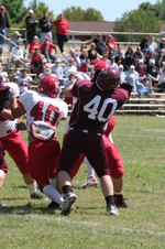 Enlarge photo 140