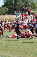 Enlarge photo 174