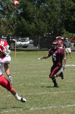 Enlarge photo 195